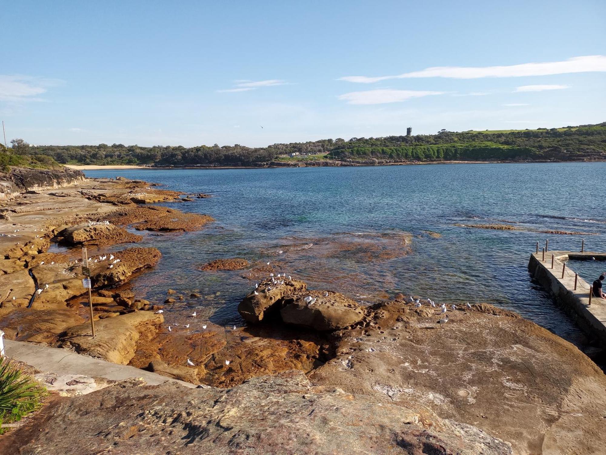 Brand New Vip Luxury 5/5 Star Beachside Escape Sydney Buitenkant foto