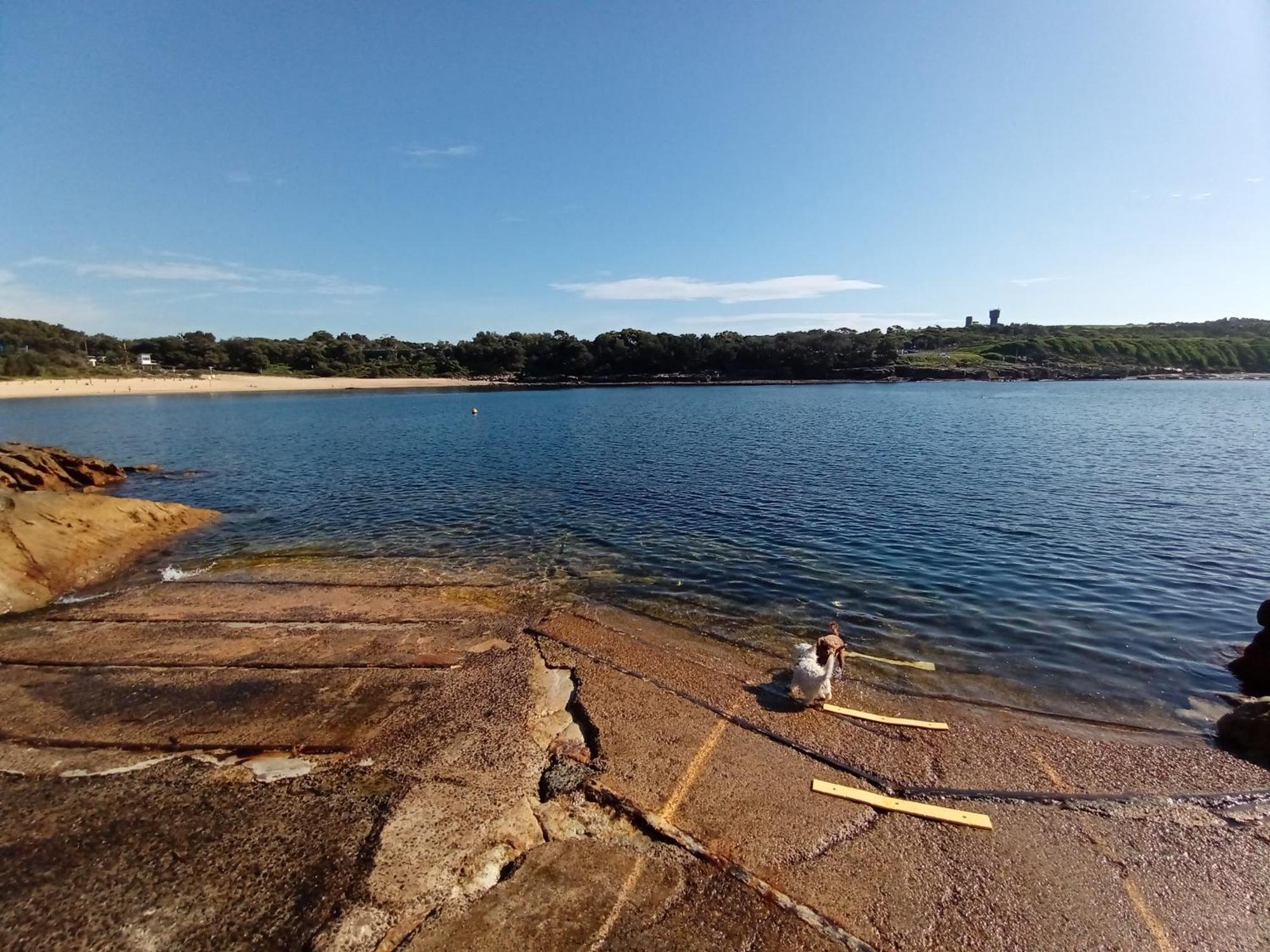 Brand New Vip Luxury 5/5 Star Beachside Escape Sydney Buitenkant foto
